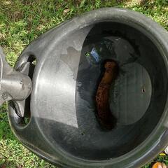 粉砕機。粉砕ボーイの画像