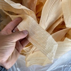 いろいろな鉋屑の画像