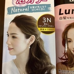新品ブローネ　泡カラー等４点　カラーリングセットの画像