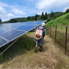 除草作業　軽作業の画像