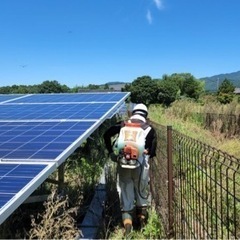 除草作業　軽作業の画像