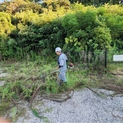 除草作業　軽作業の画像
