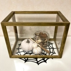 木製ディスプレイケース  [アンティークゴールド]  約20.7...