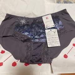 ワコール下着パンツ2枚新品未使用の画像