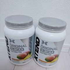 エクステンドBCAA　サイベーション　マンゴー90杯　2個セット