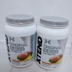 お買い得品　エクステンドBCAA　サイベーション　マンゴー90杯...