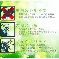 フェイクグリーン　観葉植物　2個あります。の画像