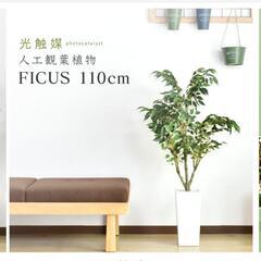 フェイクグリーン　観葉植物　2個あります。の画像