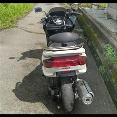 不具合なしマジェスティ250の画像