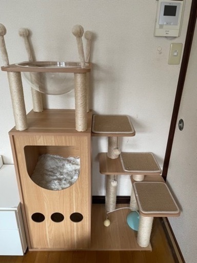 キャットタワー