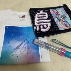 乃木坂46 真夏の全国ツアー2021 ペンライト 齋藤飛鳥タオル...