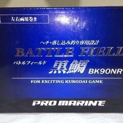 【美品】ヘチ釣りセット　タイコリール他