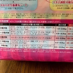 ペット　わんちゃん用おむつ　女の子用　Sサイズの画像