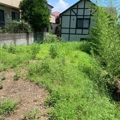 除草依頼地　写真