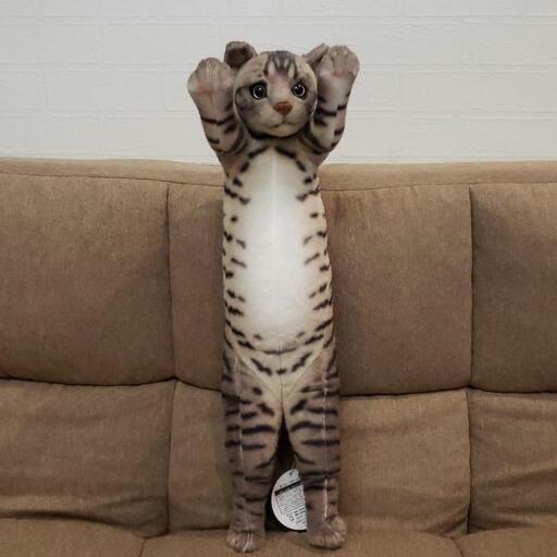 【新品タグ付き】猫コラぬいぐるみ トラ猫