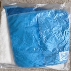 (値下げ予定無し)未使用品！日本ハムファイターズ　ブランケットです。