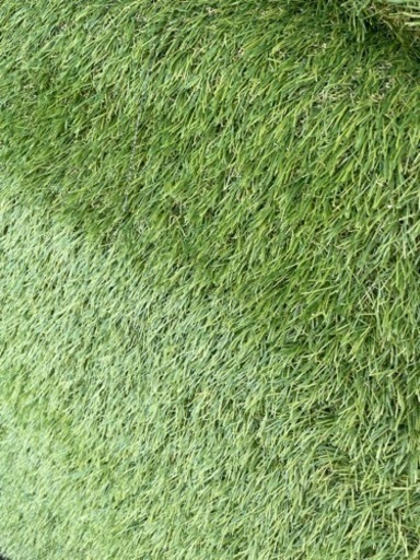 モダンデコ　夏色　人工芝