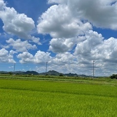 令和3年秋産　ヒノヒカリ玄米　30キロ　兵庫県産