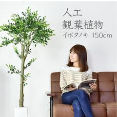 フェイクグリーン　観葉植物　2個あります。の画像