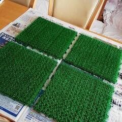 差し上げます 屋外用ジョイントマット人工芝4枚　緑　の画像
