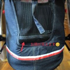 ペットカ―トの画像