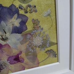 【押し花絵画】黄色背景のオシャレな押し花アート作品の画像