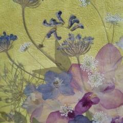 【押し花絵画】黄色背景のオシャレな押し花アート作品の画像