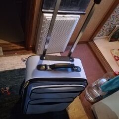 キャリーバッグ　スーツケース　旅行かばん　水色の画像