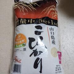 お値下げしました❣️5+1kg お米 こしひかり
