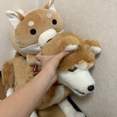訳あり!!!  動く🧸🐶犬のぬいぐるみ