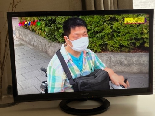 テレビ 24インチ