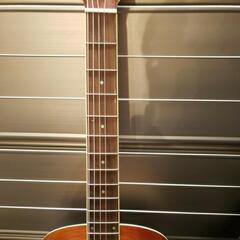 Legend by Aria レジェンド FG-15 BS アコースティックギター アコギ ソフトケース付の画像