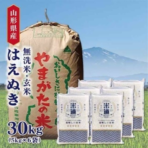 早い者勝ち限定１袋　はえぬき玄米60kg １袋