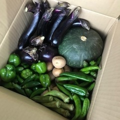 【9/7限定】野菜セット　　