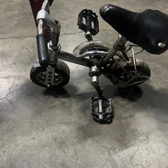 世界一小さな自転車　　希少