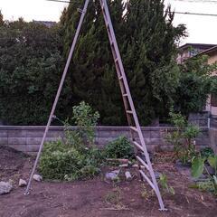 三脚アルミハシゴ　アルミハシゴ　