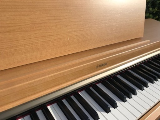 ヤマハ　YDP-162C(エリア内設置無料)