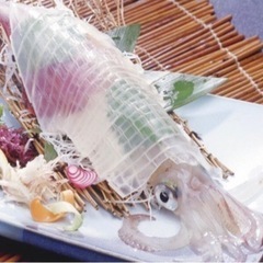 🦑アオリイカ釣り🦑