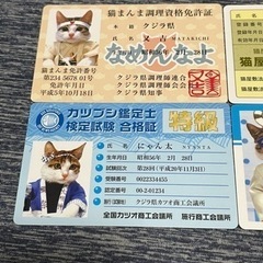 なめんなよ2 カードコレクション（4枚セット）なめ猫の画像