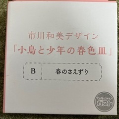 【決まりました】小鳥と少年の春色皿の画像