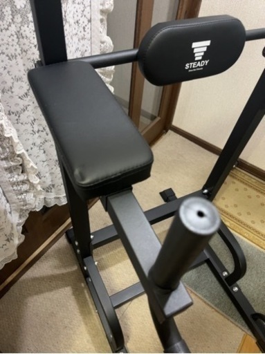 決まりましたSTEADY ステディ ぶら下がり健康器 懸垂マシン