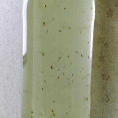 【メダカ 餌】オオミジンコ 500ペットボトル入り(タマミジンコ...