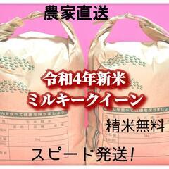 令和4年新米ミルキークイーン福井県産玄米30kg