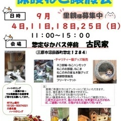 保護猫譲渡会