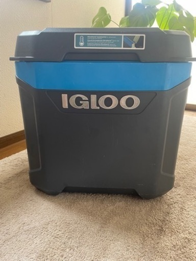 IGLOO  クーラーボックス  コストコ