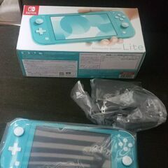 Nintendo Switch NINTENDO SWITCH LITE ター…の画像