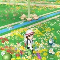 🌻遠い地域の方も大歓迎🌸             🍑ピクミンフレ...