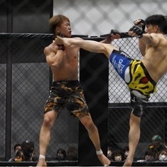 紀南で総合格闘技、キックボクシング、柔術が学べます🥊の画像