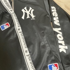 NY セットアップの画像