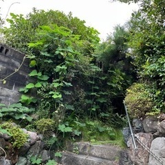 草取り・草刈り　お願いします！